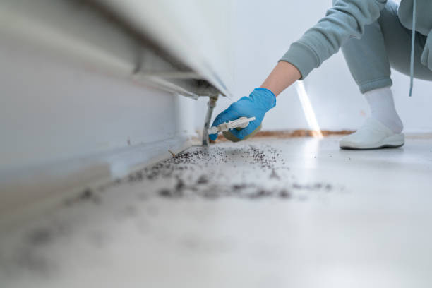 Best Pest Prevention Services  in English, IN